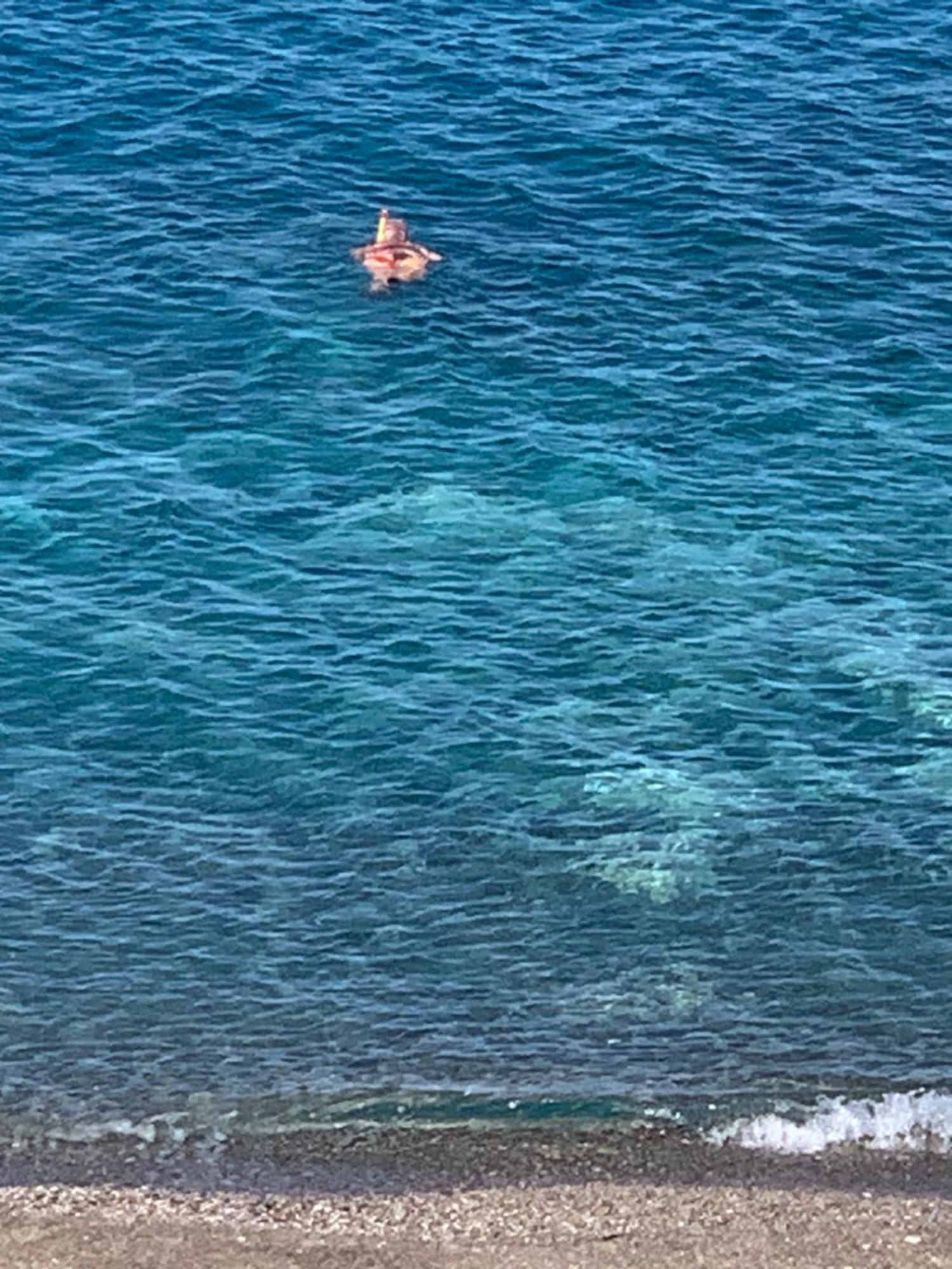 La Porta Delle Eolie Διαμέρισμα Capo dʼOrlando Εξωτερικό φωτογραφία